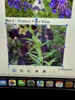 View photo in a new window