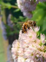 View photo in a new window