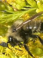 View photo in a new window