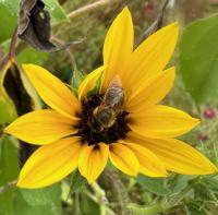 View photo in a new window