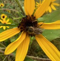 View photo in a new window