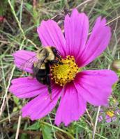 View photo in a new window