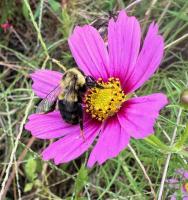 View photo in a new window