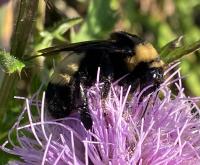 View photo in a new window