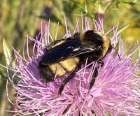 View photo in a new window