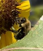 View photo in a new window