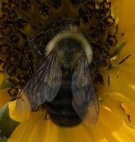 View photo in a new window