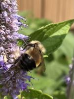 View photo in a new window