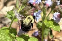 View photo in a new window