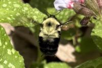 View photo in a new window