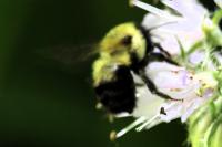 View photo in a new window