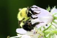 View photo in a new window