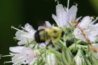 View photo in a new window