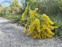 View photo in a new window