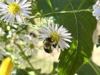 View photo in a new window