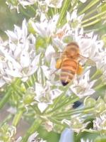 View photo in a new window