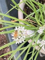 View photo in a new window