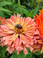 View photo in a new window