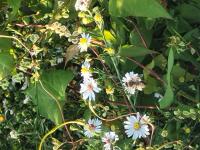 View photo in a new window