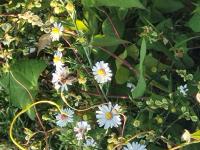 View photo in a new window