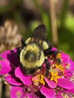 View photo in a new window