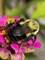 View photo in a new window