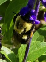 View photo in a new window