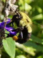 View photo in a new window