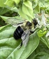 View photo in a new window