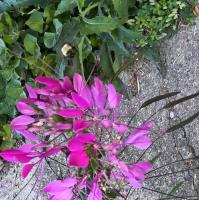 View photo in a new window