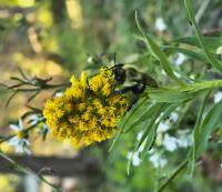 View photo in a new window