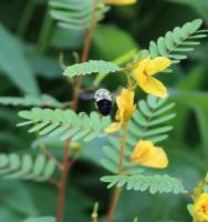 View photo in a new window