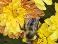 View photo in a new window