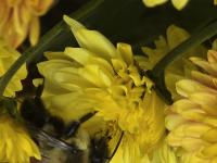 View photo in a new window