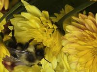 View photo in a new window