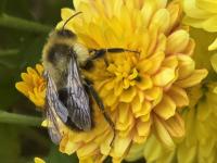 View photo in a new window