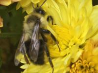 View photo in a new window