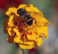 View photo in a new window