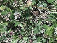 View photo in a new window