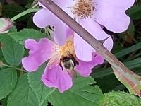 View photo in a new window