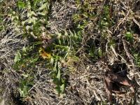 View photo in a new window