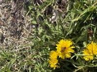 View photo in a new window