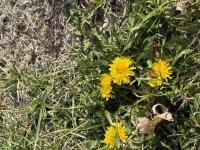 View photo in a new window