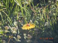 View photo in a new window