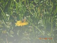 View photo in a new window