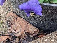 View photo in a new window