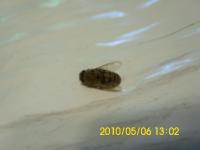 View photo in a new window