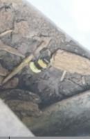 View photo in a new window