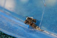 View photo in a new window