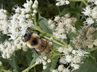 View photo in a new window